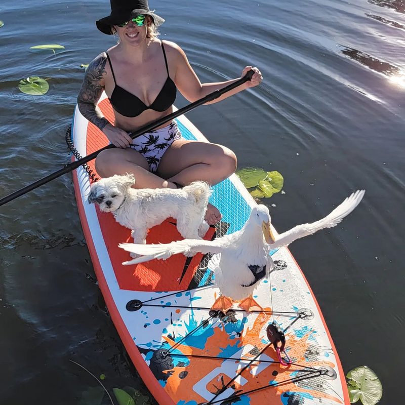 swonder 10' paddleboard